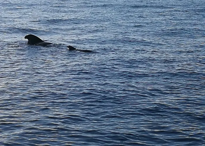 Aquarius Loft Lägenhet *