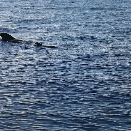 Aquarius Loft شقة *