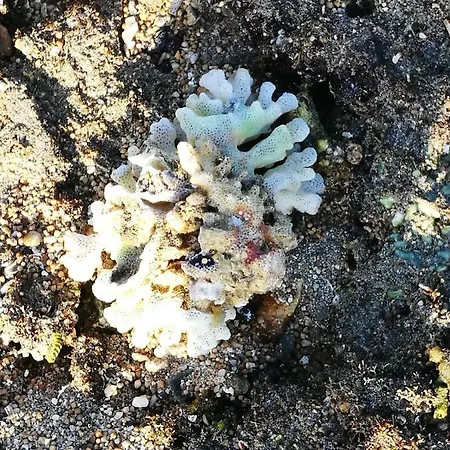 Aquarius Loft شقة كالاو سالفاجي