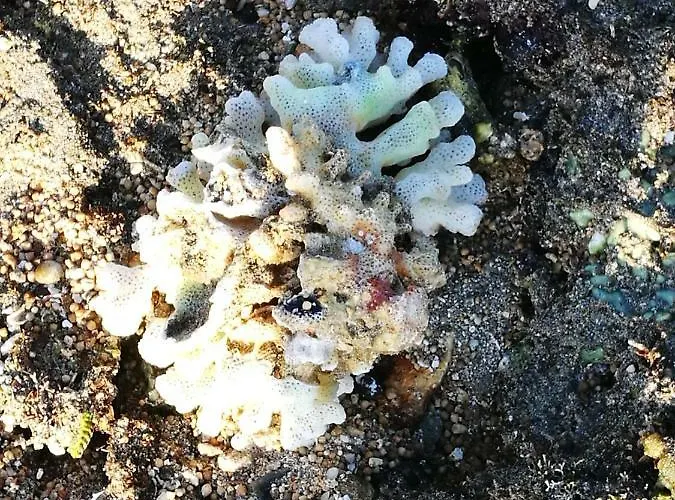 Aquarius Loft Apartman Callao Salvaje